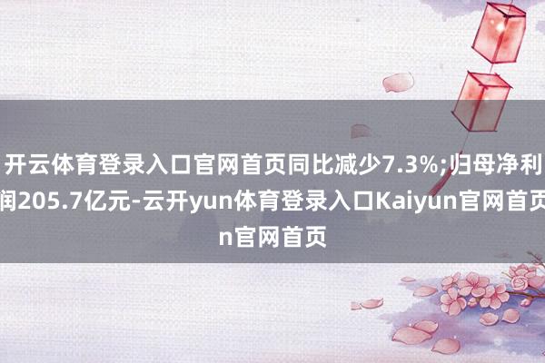 开云体育登录入口官网首页同比减少7.3%;归母净利润205.7亿元-云开yun体育登录入口Kaiyun官网首页